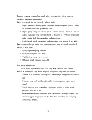 9
Reseptor penerima rasa dan bau adalah sel-sel komoreseptor. Indera pengecap
membantu menaikan selera makan.
Lidah mempunyai tiga macam papila, sebagai berikut.
1. Papila berbentuk benang (papila filiformis) merupakan papila peraba. Papila
ini menyebar di seluruh permukaan lidah.
2. Papila yang dilingkari saluran (papila sirkum valata). Papila ini tersusun
dalam lengkungan yang berbentuk huruf V. Terdapat 7 – 9 buah yang terletak
dekat pangkal lidah dan merupakan papila pengecap.
3. Papila bentuk martil, merupakan papila pengecap yang terdapat di tepi lidah.
Indera pengecap berupa putting atau kuncup pengecap yang terkumpul pada daerah
tertentu di lidah, yaitu:
1. Ujung depan mengecap rasa asin
2. Ujung tepi mengecap rasa manis
3. Tepi belakang mengecap rasa asam
4. Belakang tengah pengecap rasa pahit.
Cara Kerja Indera Perasa
Indera perasa juga memiliki cara kerja yang tidak diketahui oleh manusia.
Berikut ini adalah cara kerja indera pengecap atau perasa yang harus kita ketahui :
 Manusia akan memakan dan mengunyah makanannya menggunakan lidah dan
gigi.
 Makanan yang telah larut ke dalam mulut bisa merangsang bagian ujung
syaraf
 Syaraf pengecap akan meneruskan rangsangan tersebut ke bagian syaraf
pengecap yang ada di otak.
 Otak akan menanggapi rangsangan yang dikirimkan kepadanya sehingga saat
otak menanggapi rangsangan tersebut lidah bisa merasakan makanan yang
dimakannya tersebut.
 