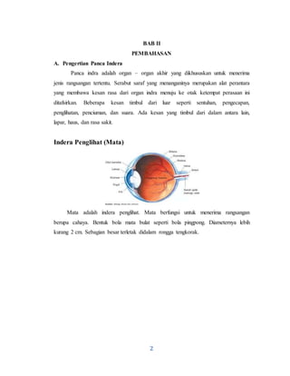 2
BAB II
PEMBAHASAN
A. Pengertian Panca Indera
Panca indra adalah organ – organ akhir yang dikhususkan untuk menerima
jenis rangsangan tertentu. Serabut saraf yang menanganinya merupakan alat perantara
yang membawa kesan rasa dari organ indra menuju ke otak ketempat perasaan ini
ditafsirkan. Beberapa kesan timbul dari luar seperti sentuhan, pengecapan,
penglihatan, penciuman, dan suara. Ada kesan yang timbul dari dalam antara lain,
lapar, haus, dan rasa sakit.
Indera Penglihat (Mata)
Mata adalah indera penglihat. Mata berfungsi untuk menerima rangsangan
berupa cahaya. Bentuk bola mata bulat seperti bola pingpong. Diameternya lebih
kurang 2 cm. Sebagian besar terletak didalam rongga tengkorak.
 