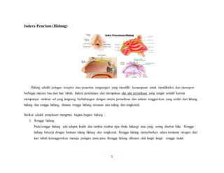 5
Indera Pencium (Hidung)
Hidung adalah jaringan reseptor atau penerima rangsangan yang memiliki kemampuan untuk mendikteksi dan merespon
berbagai macam bau dari luar tubuh. Indera penciuman dan merupakan alat alat pernafasan yang sangat sensitif karena
mempunyai struktur sel yang langsung berhubungan dengan sistem pernafasan dan saluran tenggorokan yang terdiri dari lubang
hidung dan rongga hidung, dimana rongga hidung tersusun atas tulang dan tengkorak.
Berikut adalah penjelasan mengenai bagian-bagian hidung :
1. Rongga hidung
Pada rongga hidung ada selaput lendir dan rambut rambut tipis (bulu hidung) atau yang sering disebut Silia. Rongga
hidung bekerja dengan bantuan tulang hidung dan tengkorak. Rongga hidung menyebarkan udara terutama oksigen dari
luar tubuh ketenggorokan menuju jaringan paru paru. Rongga hidung dibatasi oleh langit langit rongga mulut.
 