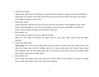 6
2. Lubang dan bulu hidung
Didalam lubang hidup selalu ada bulu hidung dan selaput lendir yang mempunyai kegunaan menyaring dan merlindungi
rongga hidung dari masuknya benda asing berupa debu debu atau hasil dari reaksi radikal bebas seperti asap kendaraan,
asap pembakaran saampah atau asap rokok.
3. Selaput lendir (mucus)
Sebagai media untuk melekatnya kotoran yang terbawa dari udara yang gunanaya untuk menghadang jangan sampai
masuk keronga hidung.Kotoran akan berhenti dan mengering karena proses panas yang dihasilkan uap ketika kita
bernafas. Kotoran menjadi tahi hidung atau lebih dikenal sebagai upil.
4. Saraf penditeksi bau
Saraf ini sangat peka dengan kotoran yang sangat tipis dan tidak
terlihat oleh mata, bahkan bisa mencium bau dengan kadar bau yang sangat rendah, sedang sampai yang baunya
menyengat.
5. Tulang rawan (tulang lunak)
Anatomi tulang rawan yang ada pada hidung adalah tulang yang lentur dan mudah retak ketika terkena benturan yang
sangat keras, Tulang rawan terdiri dari kartilaogo septum atau ( lamina kuadran gularis) dan Kolumela, Septum dilapisi
oleh perikondrium yang ada pada jarinagn tulang lunak dan periosteum yang adaa pada tulang keras, sedangkan bagian
luarnya dilapisi dengan kuat oleh Mukus hidung.
6. Saraf penditeksi bau
Saraf ini sangat peka dengan kotoran yang sangat tipis dan tidak terlihat oleh mata, bahkan bisa mencium bau dengan
kadar bau yang sangat rendah, sedang sampai yang baunya menyengat.
 