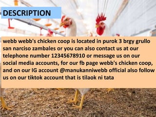 webb webb's chicken coop is located in purok 3 brgy grullo
san narciso zambales or you can also contact us at our
telephon...