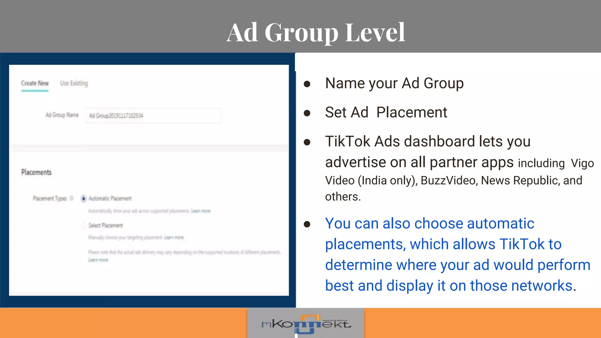 Ad Group Level
● Name your Ad Group
● Set Ad Placement
● TikTok Ads dashboard lets you
advertise on all partner apps including Vigo
Video (India only), BuzzVideo, News Republic, and
others.
● You can also choose automatic
placements, which allows TikTok to
determine where your ad would perform
best and display it on those networks.
 