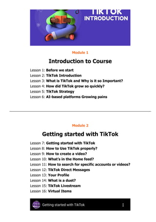 TikTok Mastery For Business | PDF