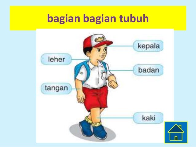 Pembelajaran Kelas 1 Sd Tema Tubuh
