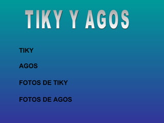 TIKY Y AGOS TIKY AGOS FOTOS DE TIKY FOTOS DE AGOS 