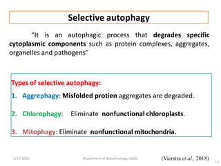 Autophagy and its role in plants - By Tilak I S, Dept. of Biotechnology ...