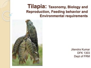 Tilapia: Taxonomy, Biology and
Reproduction, Feeding behavior and
Environmental requirements
Jitendra Kumar
DFK 1303
Dept of FRM
 