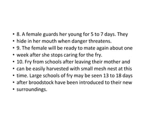 • 8. A female guards her young for 5 to 7 days. They
• hide in her mouth when danger threatens.
• 9. The female will be ready to mate again about one
• week after she stops caring for the fry.
• 10. Fry from schools after leaving their mother and
• can be easily harvested with small mesh nest at this
• time. Large schools of fry may be seen 13 to 18 days
• after broodstock have been introduced to their new
• surroundings.
 
