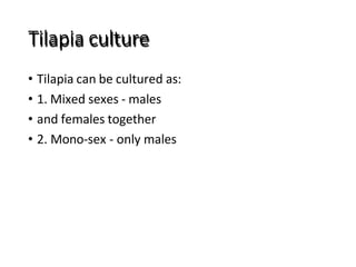 Tilapia culture
• Tilapia can be cultured as:
• 1. Mixed sexes - males
• and females together
• 2. Mono-sex - only males
 