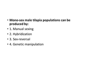 • Mono-sex male tilapia populations can be
produced by:
• 1. Manual sexing
• 2. Hybridization
• 3. Sex-reversal
• 4. Genetic manipulation
 