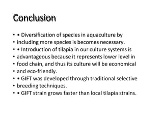 Conclusion
• • Diversification of species in aquaculture by
• including more species is becomes necessary.
• • Introduction of tilapia in our culture systems is
• advantageous because it represents lower level in
• food chain, and thus its culture will be economical
• and eco-friendly.
• • GIFT was developed through traditional selective
• breeding techniques.
• • GIFT strain grows faster than local tilapia strains.
 