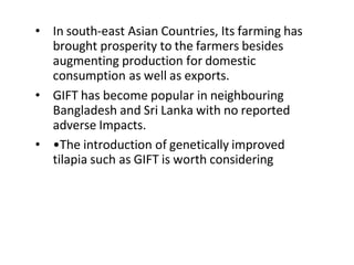 • In south-east Asian Countries, Its farming has
brought prosperity to the farmers besides
augmenting production for domestic
consumption as well as exports.
• GIFT has become popular in neighbouring
Bangladesh and Sri Lanka with no reported
adverse Impacts.
• •The introduction of genetically improved
tilapia such as GIFT is worth considering
 