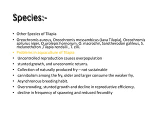 Species:-
• Other Species of Tilapia
• Oreochromis aureus, Oreochromis mossambicus (Java Tilapia), Oreochromis
spilurus niger, O.urolepis hornorum, O. macrochir, Sarotherodon galileus, S.
melanotheron ,Tilapia rendalli , T. zilli.
• Problems in aquaculture of Tilapia
• Uncontrolled reproduction causes overpopulation
• stunted growth, and uneconomic returns.
• Collection of naturally produced fry – not sustainable
• cannibalism among the fry, older and larger consume the weaker fry.
• Asynchronous breeding habit.
• Overcrowding, stunted growth and decline in reproductive efficiency.
• decline in frequency of spawning and reduced fecundity
 