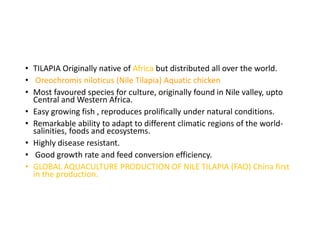 Tilapia breeding | PPTX