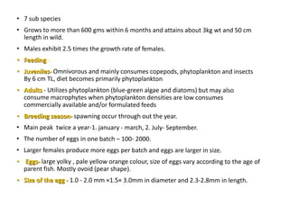 Tilapia breeding | PPTX