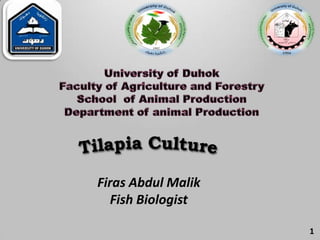 1
Firas Abdul Malik
Fish Biologist
 