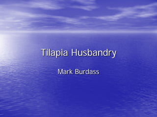 Tilapia Husbandry
   Mark Burdass
 