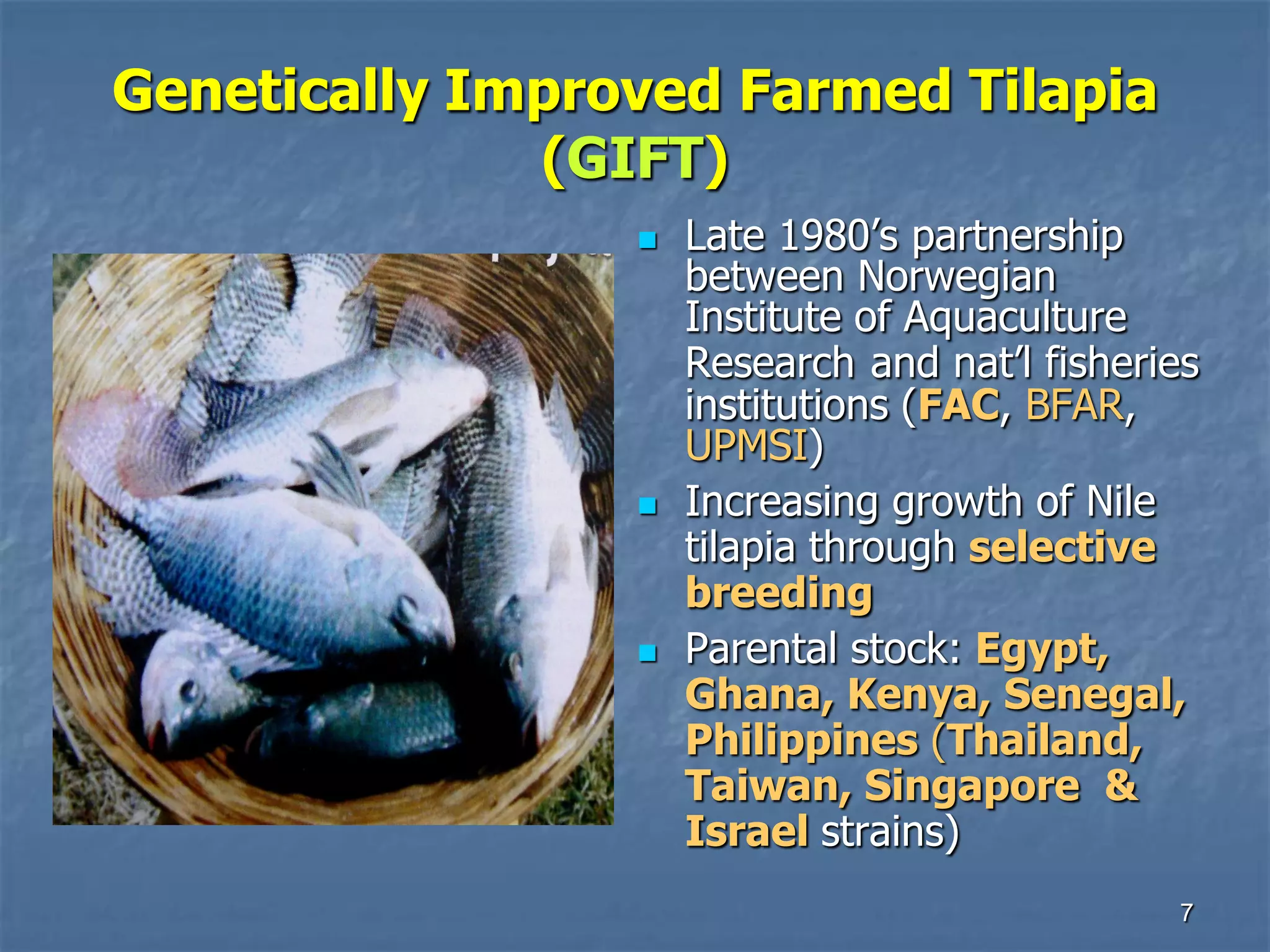 Tilapia seed prodn & hatchery mgt | PDF