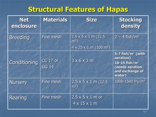 17
Structural Features of Hapas
Net
enclosure
Materials Size Stocking
density
Breeding Fine mesh 2.5 x 5 x 1 m (12.5
m2)
4 x 25 x 1 m (100 m2)
2 – 4 fish/m2
Conditioning CC 17 or
GG 14
3 x 6 x 1 m
5-7 fish/m2 (with
aeration)
10-15 fish/m2
(needs aeration
and exchange of
water)
Nursery Fine mesh 2.5 x 5 x 1 m (12.5
m2)
1000-1500 fry/m2
Rearing Fine mesh 2.5 x 5 x 1 m or
4 x 15 x 1 m
 