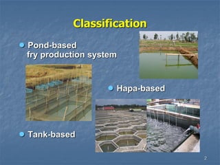 2
Classification
• Pond-based
fry production system
• Hapa-based
• Tank-based
 