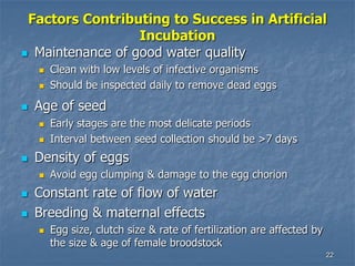 22
Factors Contributing to Success in Artificial
Incubation
 Maintenance of good water quality
 Clean with low levels of infective organisms
 Should be inspected daily to remove dead eggs
 Age of seed
 Early stages are the most delicate periods
 Interval between seed collection should be >7 days
 Density of eggs
 Avoid egg clumping & damage to the egg chorion
 Constant rate of flow of water
 Breeding & maternal effects
 Egg size, clutch size & rate of fertilization are affected by
the size & age of female broodstock
 