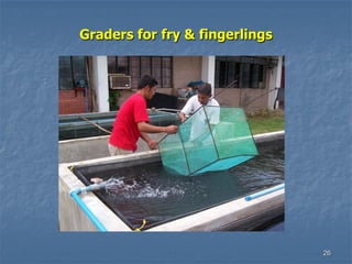 26
Graders for fry & fingerlings
 