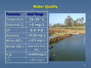 28
Water Quality
Parameter Ideal Range
Temperature 25-35˚C
Dissolved O2 >5 mg/L
pH 6.5-9.0
Ammonia <0.05 mg/L
Nitrite (NO2) < 0.5 mg/L
Nitrate (NO3) less toxic than
NO2
H2S <0.001mg/L
CO2 <50 mg/L
 