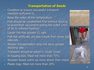 30
Transportation of Seeds
 Condition to ensure successful transport:
maintain sufficient O2
 Keep the water at low temperature
 Fish should be conditioned first without feeding
to avoid their excrement soiling the water (min.
of 36 hr without feeding)
 Larger fish has greater O2 rqts.
 Fish fed artificially are less robust than those fed
naturally
 Shorter transportation time will allow greater
stocking rate
 Transport should be taken in cooler times
 In hauling box: filled not more than 70%
 Wooden boxes warm up more slowly than metal
 Plastic bag: filled not more than 20%
 