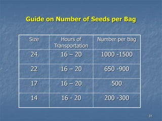 31
Guide on Number of Seeds per Bag
Size Hours of
Transportation
Number per bag
24 16 – 20 1000 -1500
22 16 – 20 650 -900
17 16 – 20 500
14 16 - 20 200 -300
 