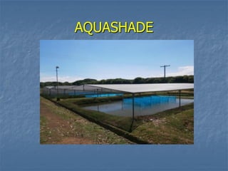 AQUASHADE
 