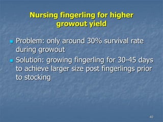 Nursing fingerling for higher
growout yield
 Problem: only around 30% survival rate
during growout
 Solution: growing fingerling for 30-45 days
to achieve larger size post fingerlings prior
to stocking
40
 