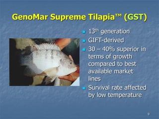9
GenoMar Supreme Tilapia™ (GST)
 13th generation
 GIFT-derived
 30 – 40% superior in
terms of growth
compared to best
available market
lines
 Survival rate affected
by low temperature
 
