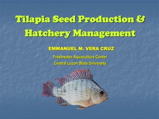 Tilapia Seed Production &
Hatchery Management
EMMANUEL M. VERA CRUZ
Freshwater Aquaculture Center
Central Luzon State University
 