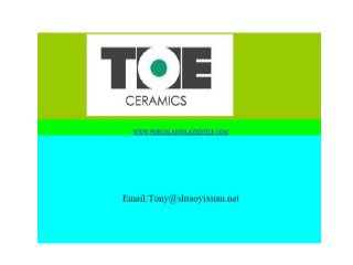SASSUOLO porcelain tile manufacturer/ OEM/ODM factory-TOE ceramics.