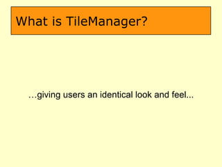 What is TileManager? … giving users an identical look and feel... 