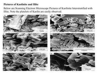 Pictures of Kaolinite and Illite
Below are Scanning Electron Microscope Pictures of Kaolinite Interstratified with
Illite. Note the platelets of Kaolin are easily observed.
 