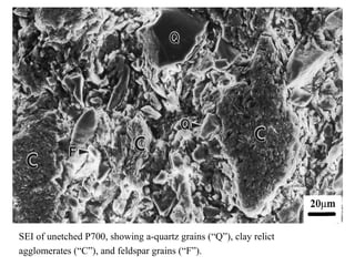 SEI of unetched P700, showing a-quartz grains (“Q”), clay relict
agglomerates (“C”), and feldspar grains (“F”).
 
