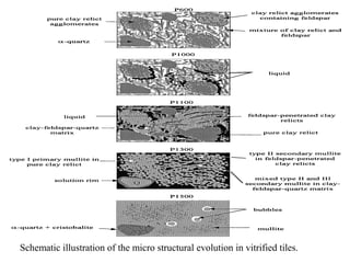 Schematic illustration of the micro structural evolution in vitrified tiles.
 