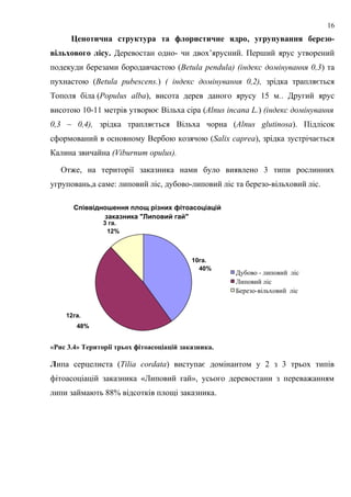Ценотична структура та флористичне ядро, угрупування березо-
вільхового лісу. Деревостан одно- чи двох’ярусний. Перший ярус утворений
подекуди березами бородавчастою (Betula pendula) (індекс домінування 0,3) та
пухнастою (Betula pubescens.) ( індекс домінування 0,2), зрідка трапляється
Тополя біла (Populus alba), висота дерев даного ярусу 15 м.. Другий ярус
висотою 10-11 метрів утворює Вільха сіра (Alnus incana L.) (індекс домінування
0,3 – 0,4), зрідка трапляється Вільха чорна (Alnus glutinosa). Підлісок
сформований в основному Вербою козячою (Salix caprea), зрідка зустрічається
Калина звичайна (Viburnum opulus).
Отже, на території заказника нами було виявлено 3 типи рослинних
угруповань,а саме: липовий ліс, дубово-липовий ліс та березо-вільховий ліс.
«Рис 3.4» Території трьох фітоасоціацій заказника.
Липа серцелиста (Tilia cordata) виступає домінантом у 2 з 3 трьох типів
фітоасоціацій заказника «Липовий гай», усього деревостани з переважанням
липи займають 88% відсотків площі заказника.
16
Співвідношення площ різних фітоасоціацій
заказника "Липовий гай"
10га.
40%
12га.
48%
3 га.
12%
Дубово - липовий ліс
Липовий ліс
Березо-вільховий ліс
 