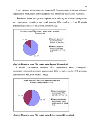 Отже, густина деревостанів фітоасоціацій Липового гаю невисока, місцями
деревостани розріджені, часто зустрічаються прогалини та невеликі галявини.
На основі даних про густину деревостанів в цілому та індекси домінування
ми порахували щільність популяції рослин Tilia cordata з І та ІІ ярусів
фітоасоціацій липового та дубово липового лісу.
Густина популяції Tilia cordata в межах І ярусу асоціації
Липового лісу
258; 86%
42; 14% Кількість дорослих
екземплярів Tilia
cordata на площі 1га
Кількість дорослих
екземплярів інших
видів дерев на площі
1 га
«Рис 3.6» Кількість дерев Tilia cordata на/га Липової фітоасоціації.
У межах угрупування липового лісу, деревостани якого одноярусні,
щільність популяції дорослих екземплярів Tilia cordata складає 258 дерев/га,
що становить 86% усіх рослин І ярусу.
Густина популяції Tilia cordata в межах І та ІІ ярусів
асоціації Дубово-липового лісу
169; 57%
127; 43%
Кількість дорослих
екземплярів Tilia
cordata на площі 1га
Кількість дорослих
екземплярів інших
видів дерев на площі
1 га
«Рис 3.6» Кількість дерев Tilia cordata на/га Дубово-липової фітоасоціації.
19
 