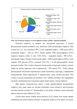 Категорії підросту в межах асоціації дубово-липового лісу
1200; 24%
250; 5%
1150; 23%700; 14%
1250; 27%
350; 7%
Здоровий підріст Tilia
cordata
Сумнівний підріст Tilia
cordata
Здоровий підріст Quercus
robur
Сумнівний підріст Quercus
robur
Здоровий підріст інших
видів
Сумнівний підріст інших
видів
«Рис. 4.4» Розподіл підросту за категоріями в межах дубово- липової асоціації.
Розподіл підросту за видами дає наступний результат: в межах
фітоасоціації дубово-липового лісу відмічено 1450 екземплярів підросту Tilia
cordata на 1 га,. що становить 29%, із них здоровий підріст - 1200 штук (24%),
сумнівний підріст - 250 шт. (5%). Також наявно 1850 екземплярів/га (37%)
підросту Quercus robur, із них 1150 (23%) - здоровий підріст, 700 (14%) -
сумнівний підріст. Підріст інших видів дерев - 1600 екземплярів/га (34%), з них
здорові 1250 рослин (27%), сумнівні 370 (7%). І в цій фітоасоціації частка
молодих особин Tilia cordata відносно інших видів в структурі підросту значно
меша, як частка дорослих лип в деревостані - 29% проти 57% . Тобто обидві
фітоасоціації поступово втрачатимуть свою ценотичну структуру з вираженим
домінуванням Липи серцелистої в деревостанах, адже загиблі рослини Tilia
cordata в складі угрупувань як липового, так і дубово-липового лісу принаймні
частково заміщатимуться за рахунок дерев інших видів з числа підросту.
Цей процес стимулюється також і дуже нерівномірним розміщенням
підросту лип, адже якщо на частині облікових площ кількість життєздатних
молодих рослин складає 5-7 екземплярів, то на інших ділянках молоді рослини
просто відсутні (див таблиці 4.2, 4,3).
Сходи липи мають слабку життєздатність [13], липові ліси значно краще
поновлюються вегетативним шляхом за рахунок порослі [13], проте для цього
31
 