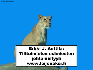 Erkki J. Anttila:
Tilitoimiston esimiesten
johtamistyyli
www.leijonaksi.fi
sxc.hu_andrewp001
 