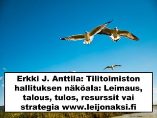Erkki J. Anttila: Tilitoimiston
hallituksen näköala: Leimaus,
talous, tulos, resurssit vai
strategia www.leijonaksi.fi
Sxc.hu_saidoe
 
