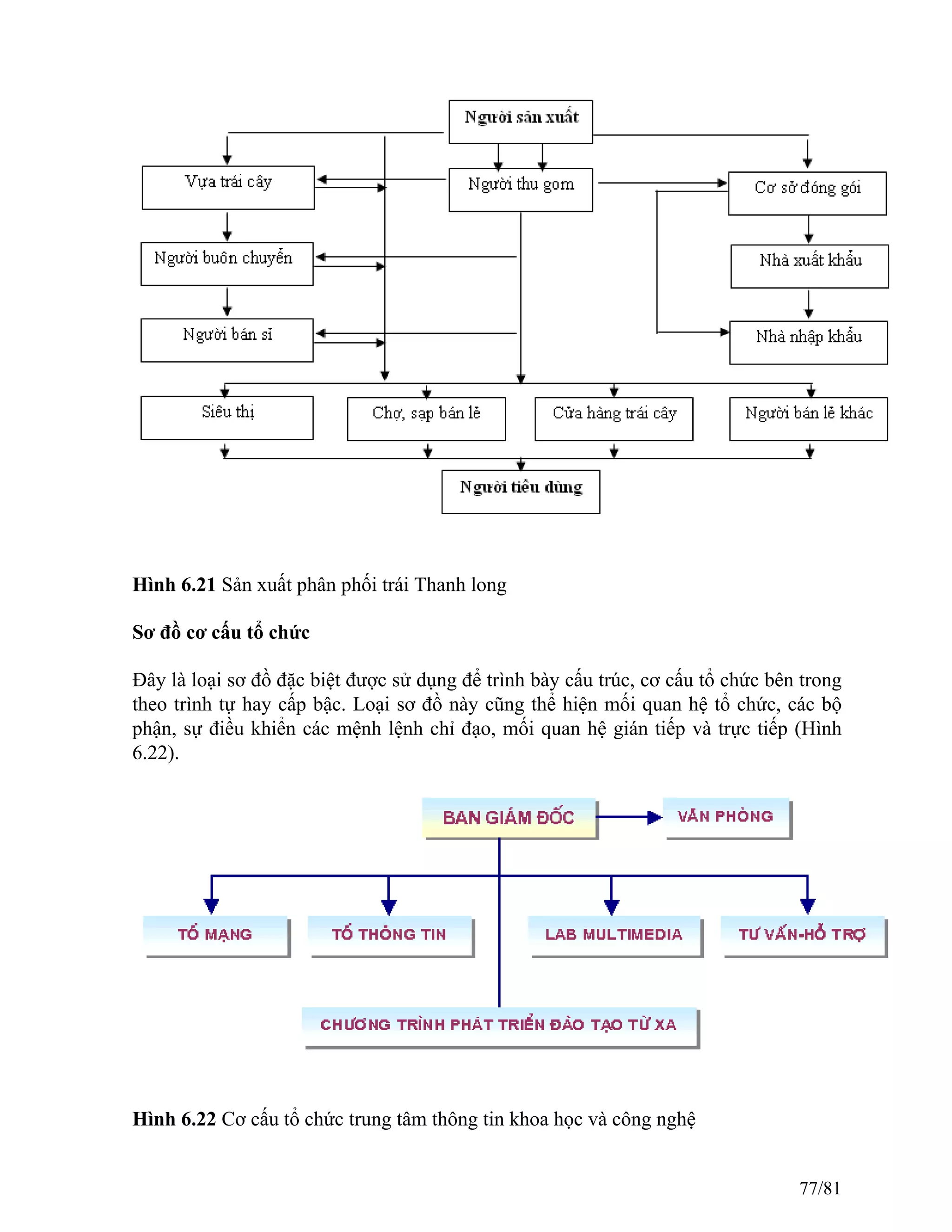 Hình 6.21 Sản xuất phân phối trái Thanh long
Sơ đồ cơ cấu tổ chức
Đây là loại sơ đồ đặc biệt được sử dụng để trình bày cấu trúc, cơ cấu tổ chức bên trong
theo trình tự hay cấp bậc. Loại sơ đồ này cũng thể hiện mối quan hệ tổ chức, các bộ
phận, sự điều khiển các mệnh lệnh chỉ đạo, mối quan hệ gián tiếp và trực tiếp (Hình
6.22).
Hình 6.22 Cơ cấu tổ chức trung tâm thông tin khoa học và công nghệ
77/81
 