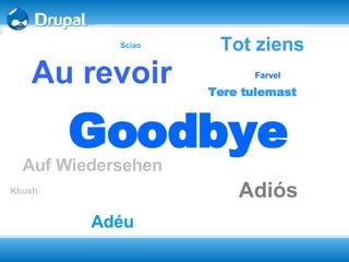 Goodbye Auf Wiedersehen   Adiós Au revoir Tot ziens Adéu   Khush Farvel   Sciao   Tere tulemast   