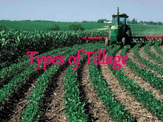 Types of Tillage
 