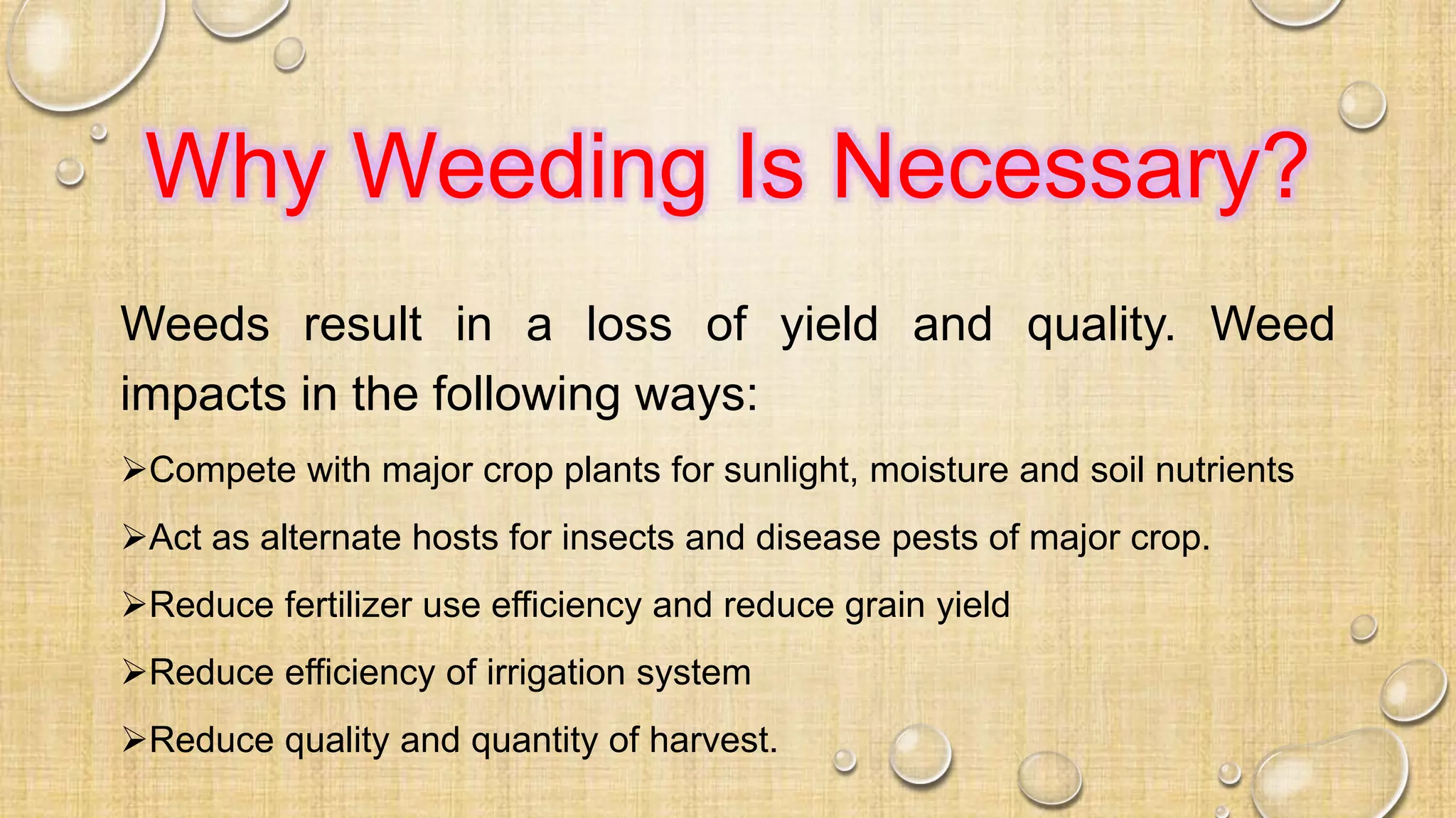Why Weeding Is Necessary?
Weeds result in a loss of yield and quality. Weed
impacts in the following ways:
Compete with major crop plants for sunlight, moisture and soil nutrients
Act as alternate hosts for insects and disease pests of major crop.
Reduce fertilizer use efficiency and reduce grain yield
Reduce efficiency of irrigation system
Reduce quality and quantity of harvest.
 