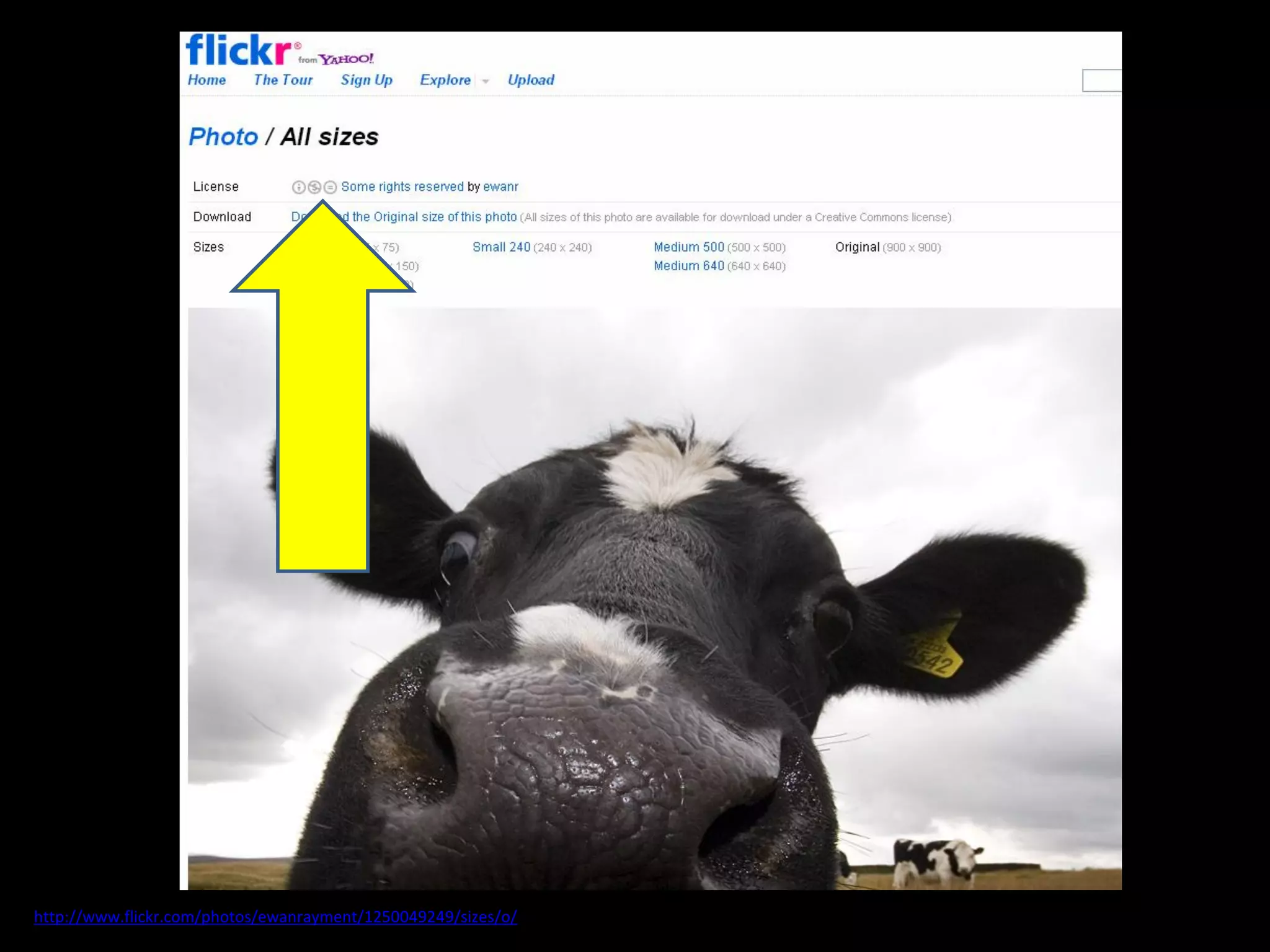 CC image from
http://www.flickr.com/photos/ewanrayment/1250049249/sizes/o/
 