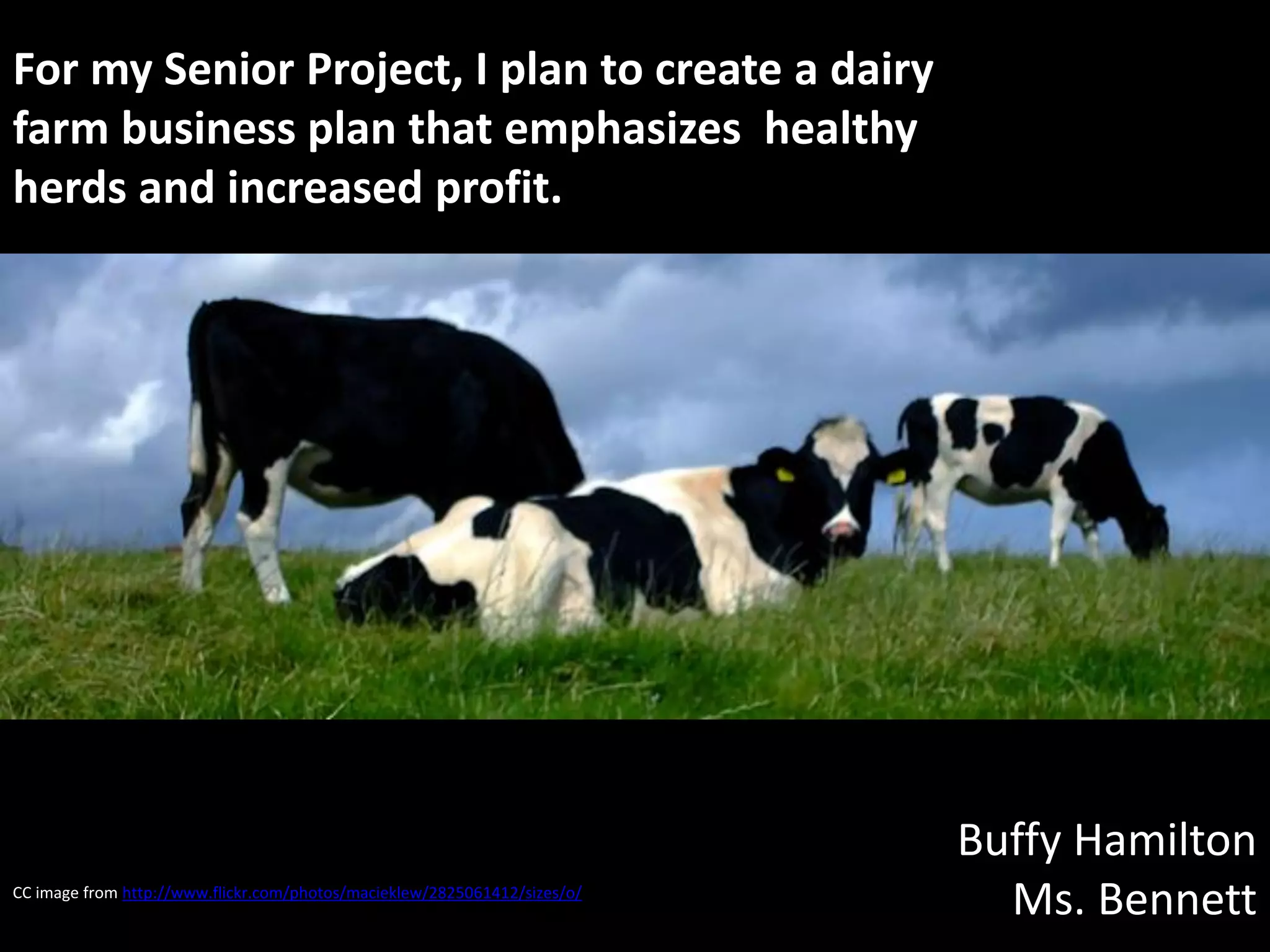 For my Senior Project, I plan to create a dairy
farm business plan that emphasizes healthy
herds and increased profit.




                                                                           Buffy Hamilton
CC image from http://www.flickr.com/photos/macieklew/2825061412/sizes/o/
                                                                             Ms. Bennett
 