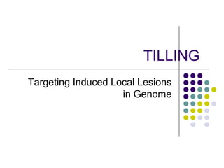 TILLING
Targeting Induced Local Lesions
in Genome
 